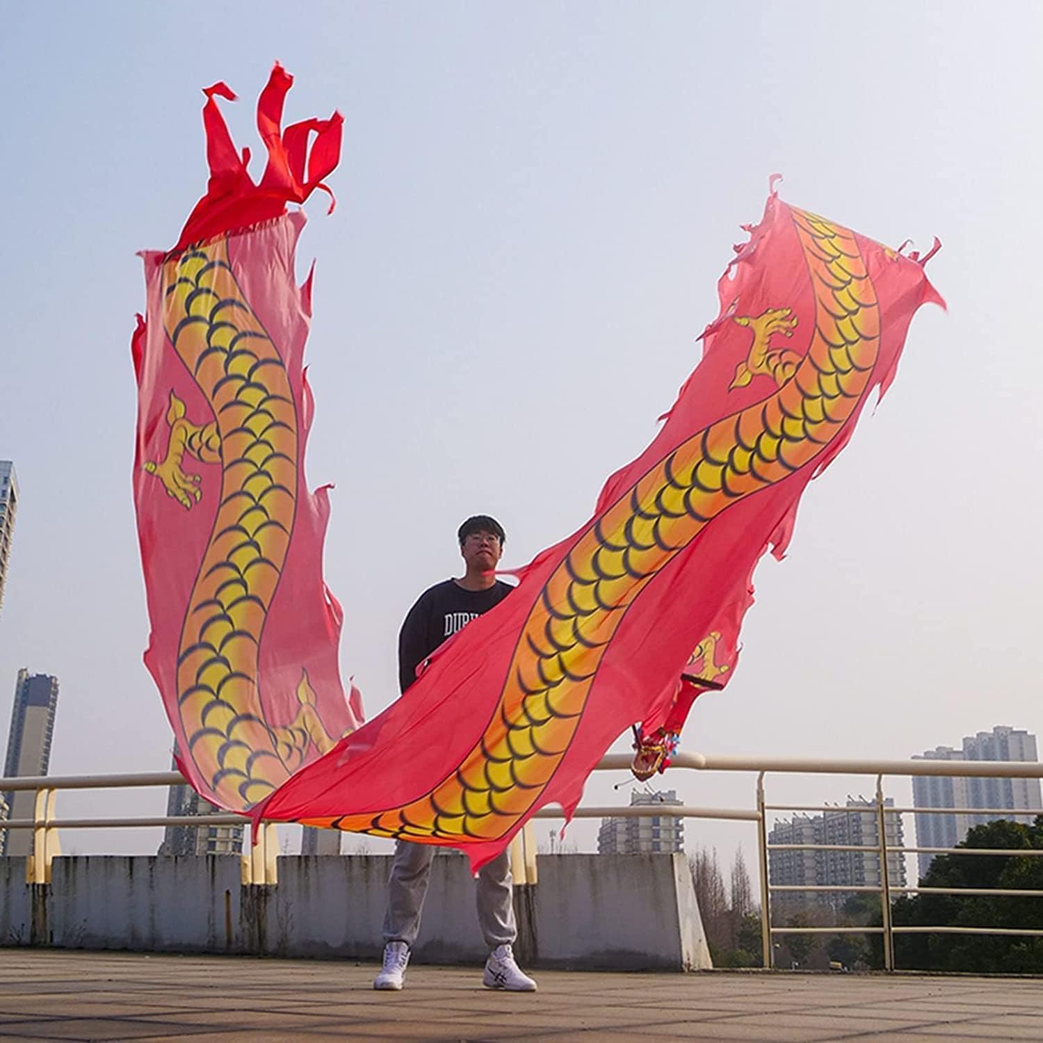 Drago Cinese per Feste Nastro di Danza del Drago con Streamer Seta in Tessuto Testa Fluida Che Agita La Leone Lanciata Feste Cinesi in Italia(A,10m/33ft)