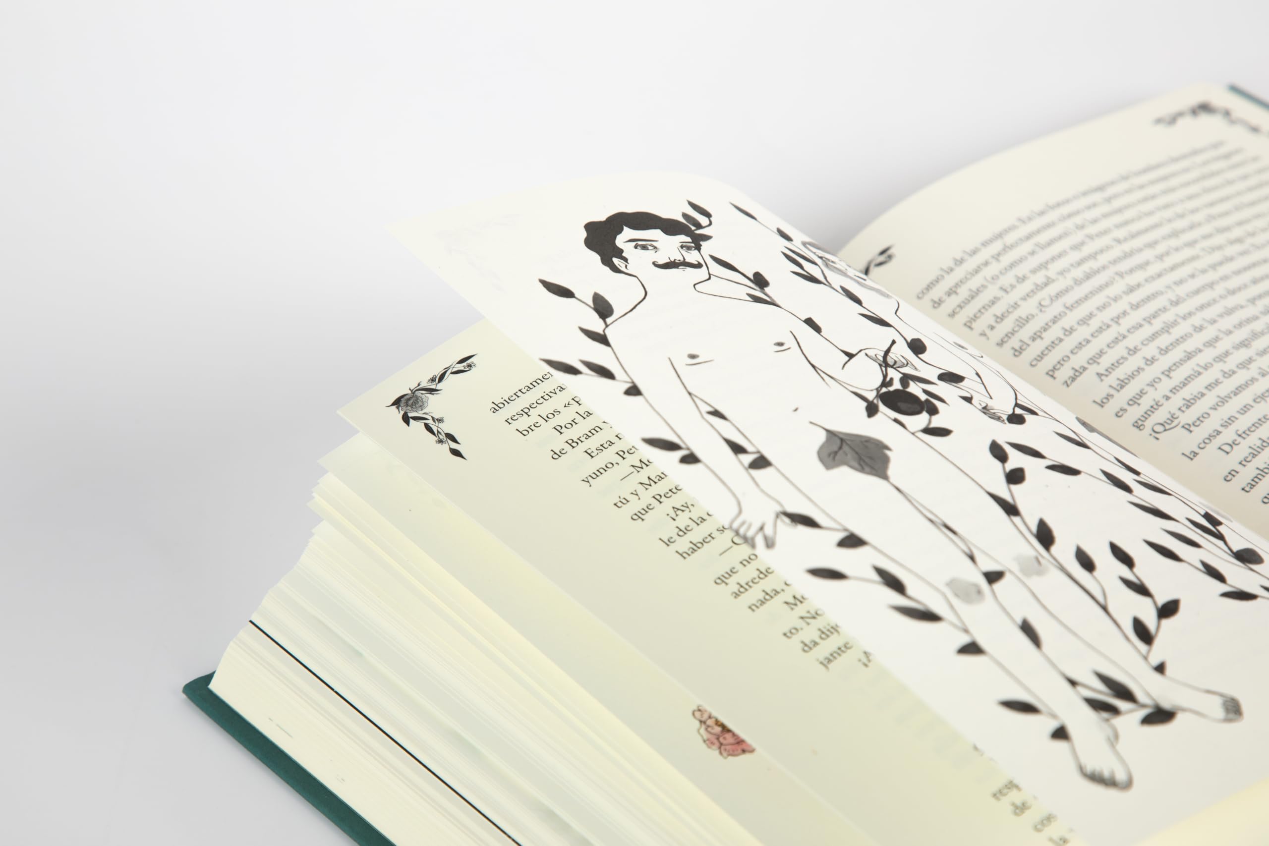 Diario de Anne Frank (edición ilustrada) (Lumen Gráfica)