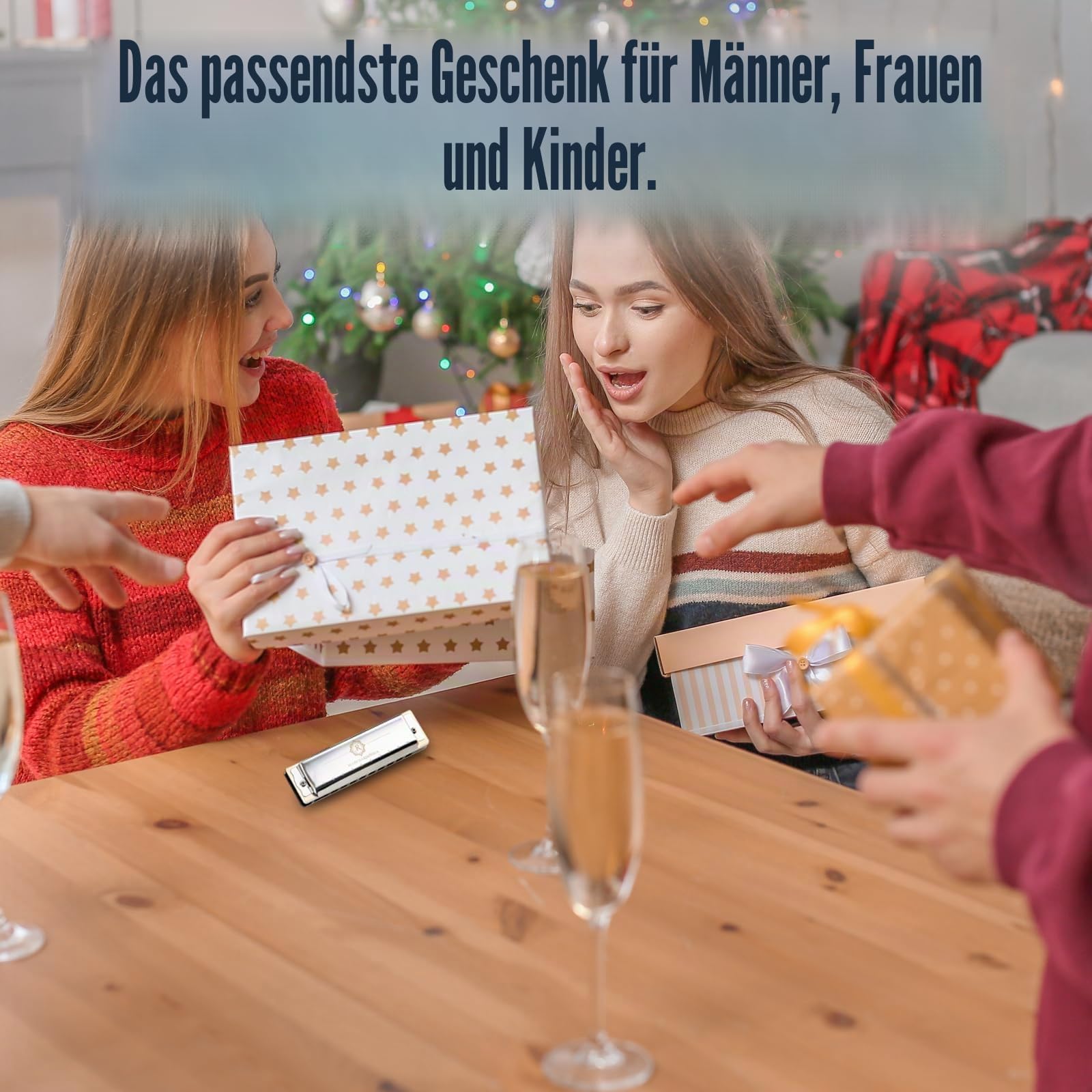 JDR North Mundharmonika C-Tonart 10 Löcher 20 Töne Blues Harfe Diatonische Mundorgel Armonika mit EVA-Schutzhülle für Erwachsene Anfänger Profis Fortgeschrittene Rock Jazz Geschenk Silber