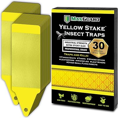 MAXGUARD Yellow Stake Sticky Traps