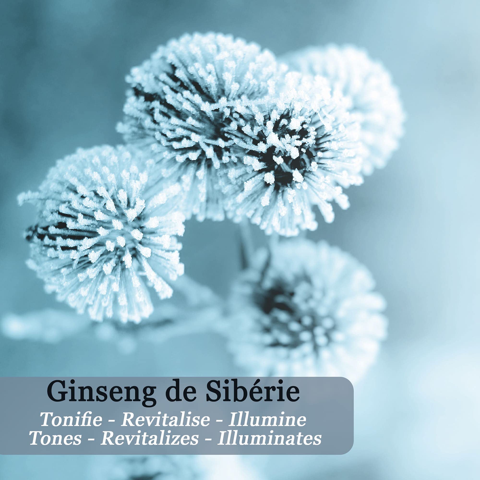 Polåar Men Regard de Glace, Soin Yeux Anti-Rides, Cernes & Poches au Ginseng de Sibérie 1 Unité