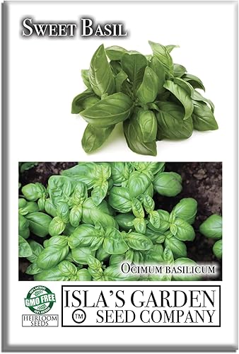 Sweet Basil Seeds (Ocimum basilicum)  250+ Non-GMO & Heirloom Seeds by Islas Garden Seeds, Classic Aromatic Culinary Herb, Fast-Growing Variety,