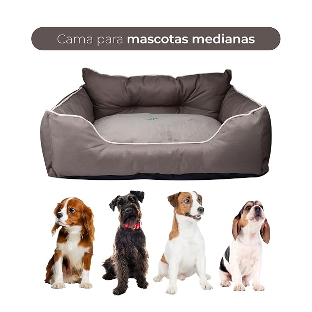 Foto 4 de 8 de Cama para Mascotas
