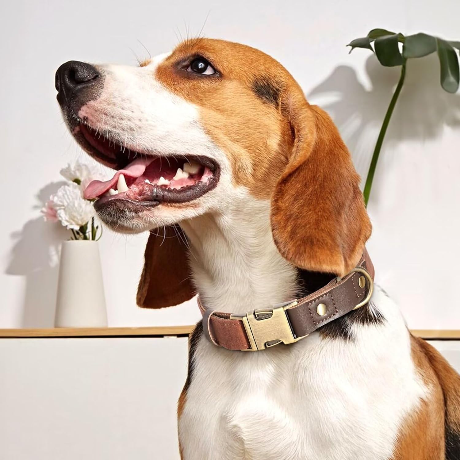 Didog Soft Padded PU Leather Dog Collar and Quick Released PU Leather Dog Collar for Medium Dogs