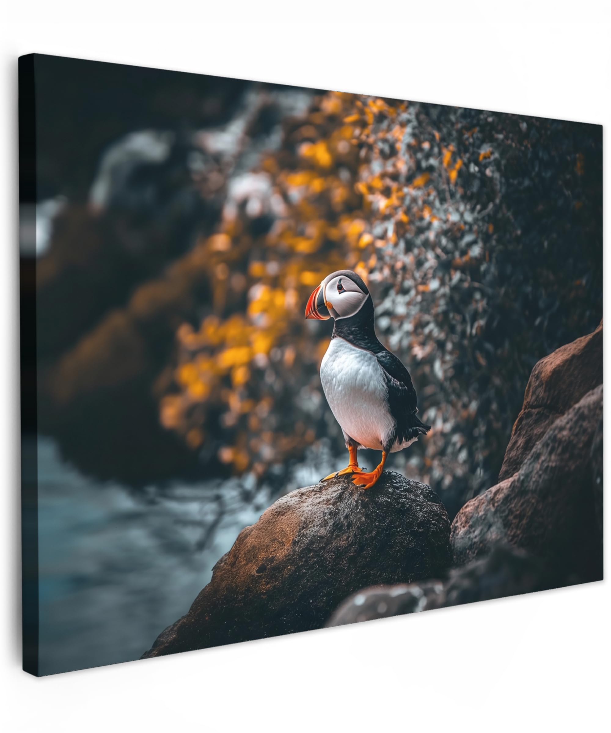 MuchoWow© Canvas Wall Art Work 16"x12" / 40x30 cm House Decoration for Living Room Home Decor Pictures Walls Parrot - Rock - White - Bird