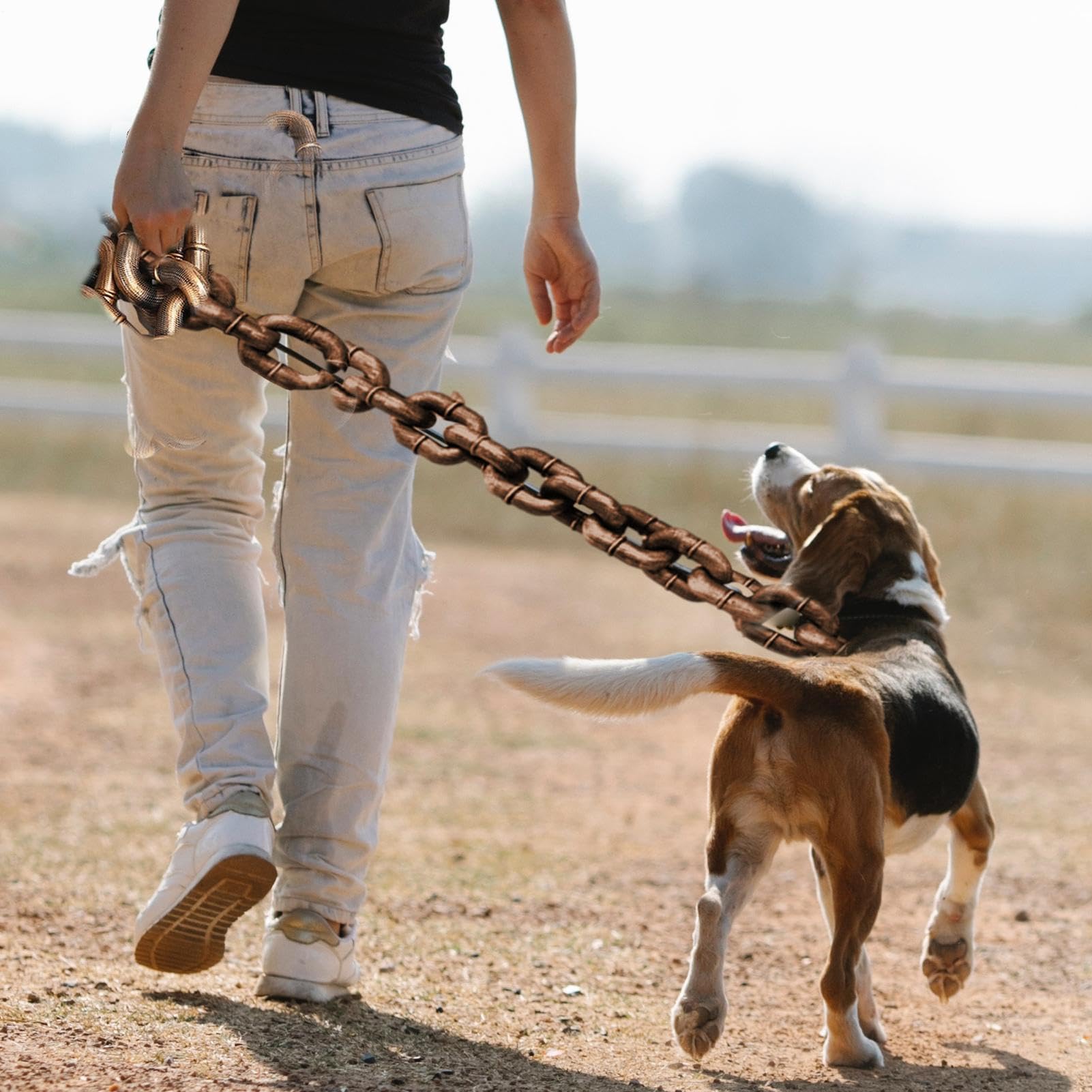 Guinzaglio per cani, catene per cani e cuccioli | 1,8 m/1,8 m per tutti i tipi di cani, animali domestici grandi, medi, piccoli, gatti, cani, passeggiate, jogging
