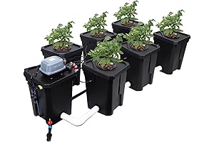 RDWC 6 Site Hydroponic Grow System: Experience Deep Water Culture Gardening