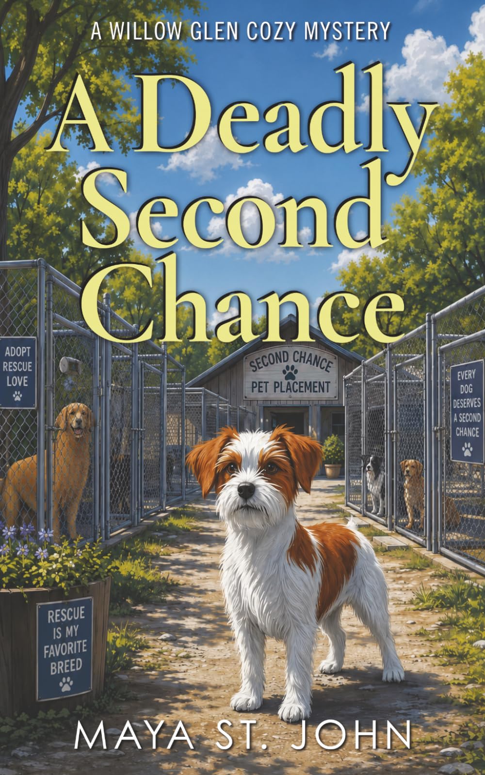 A Deadly Second Chance: A Willow Glen Cozy Mystery