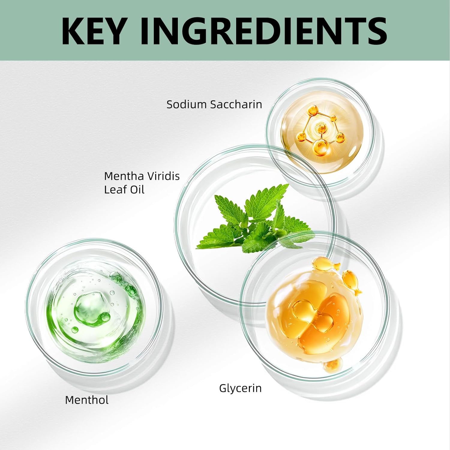 White Spearmint Oil Pulling Rinse, Cold-Pressed Coconut Mouthwash for Teeth Whitening, Peppermint Pulling Oil for Teeth and Gums, Pure Mint Mouthwash (4 Oz) - Image 3