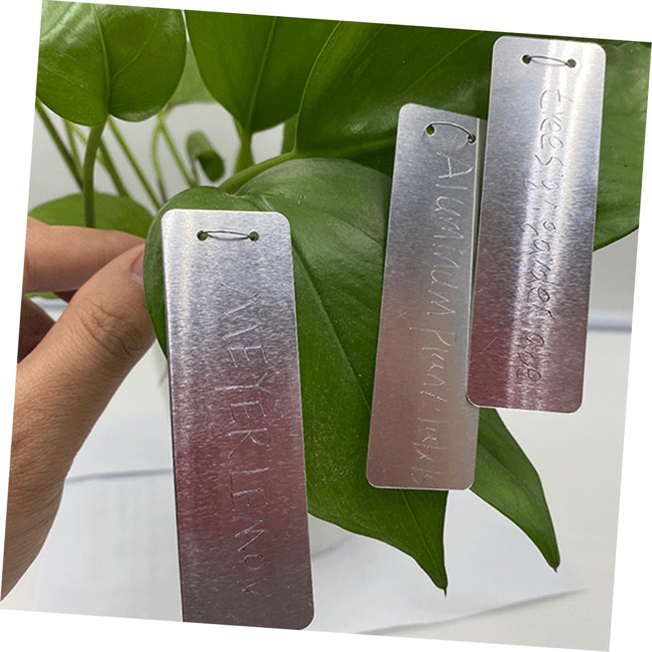 Sosoport 80pezzi Etichette Per Piante Alluminio Da Marcatori Resistenti Per Giardino e Etichette Metalliche Per Piante Durevoli e Facili Da Scrivere Per Fiori e Alberi