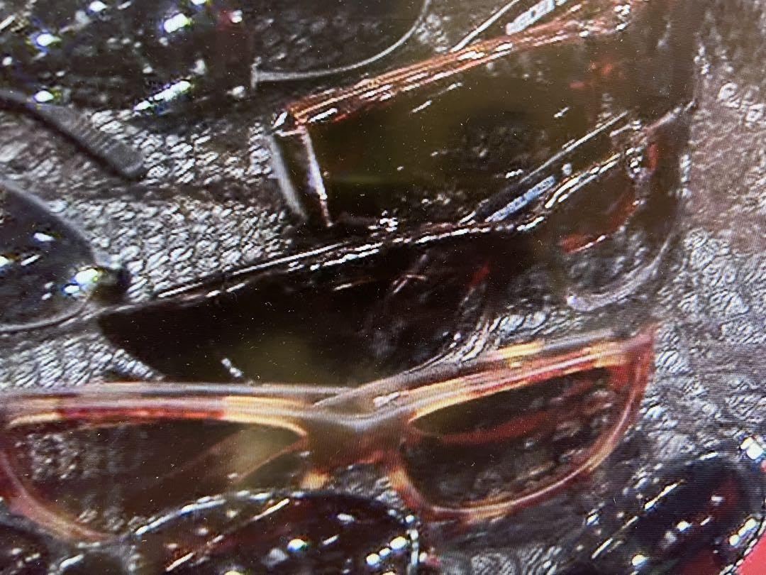 Amazon.co.jp: 長渕剛 BLACKFLYS サングラス THE FLY ブラックフェード