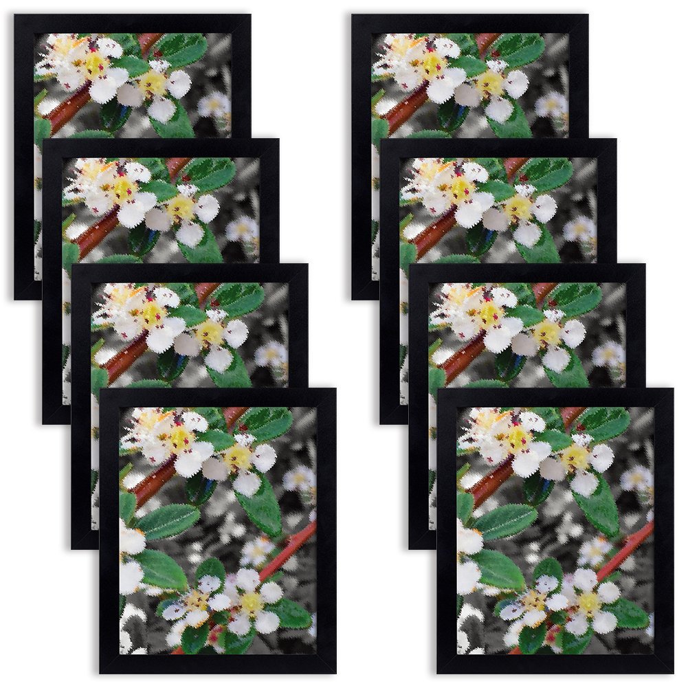 Buy Golden State Art 8 x 10 Picture Frames Set of 8, Gallery Wall Frame