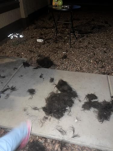 Maxpower Planet Hair Brush — close-up of materials and construction quality