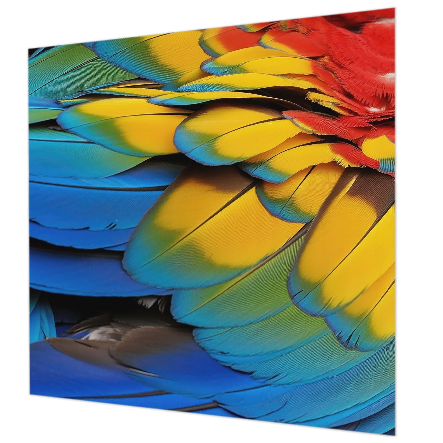 Papier peint intissé pour chambre à coucher déco murale salon plumes 250x250 cm