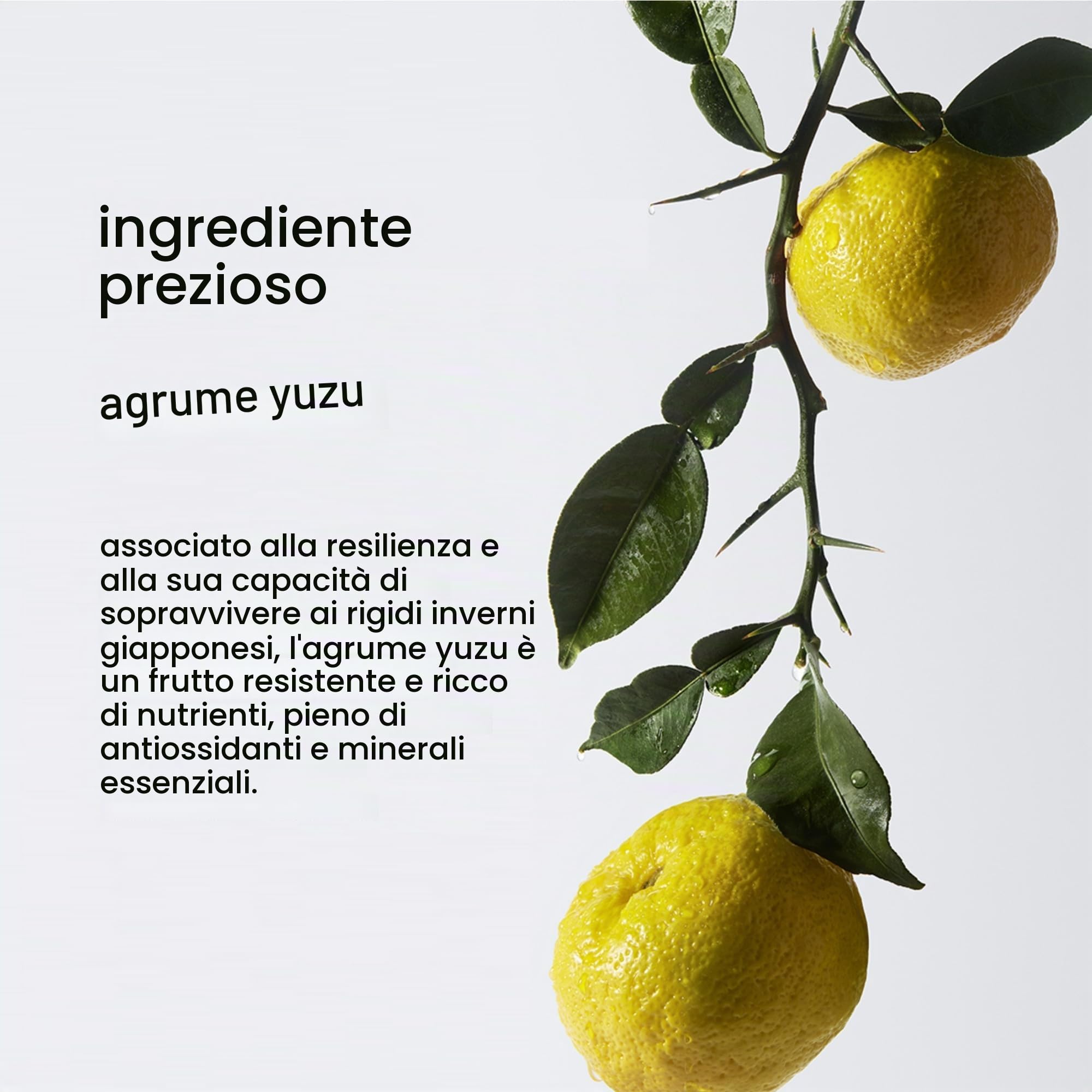 Shu Uemura Art of Hair, Shampoo Anti-Sebo Pure Serenity, Per Capelli Grassi, Azione Normalizzante, Con Fermenti Onsen e Yuzu, Deep Cleanser, 400 ml