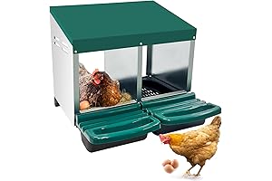 Poultry Nest: Chicken Nesting Boxes for Eggs