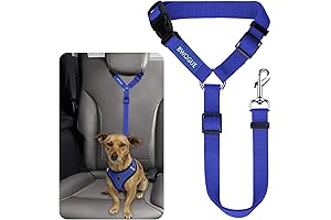 BWOGUE Safe Buckle Dog Leash