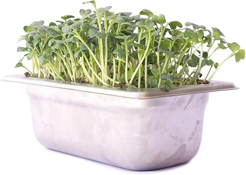 Miniatura 3 de Kit de cultivo de microgreens hidropónicos de acero inoxidable, kit hidropónico infinitamente reutilizable para semillas microverdes y semillas de