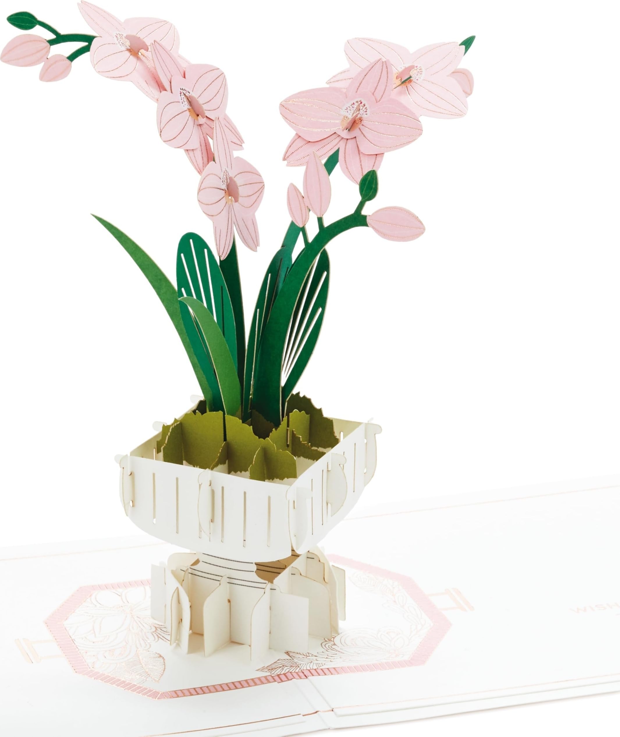 Hallmark Signature Thinking of You Pop Up Card (3D Orchid)