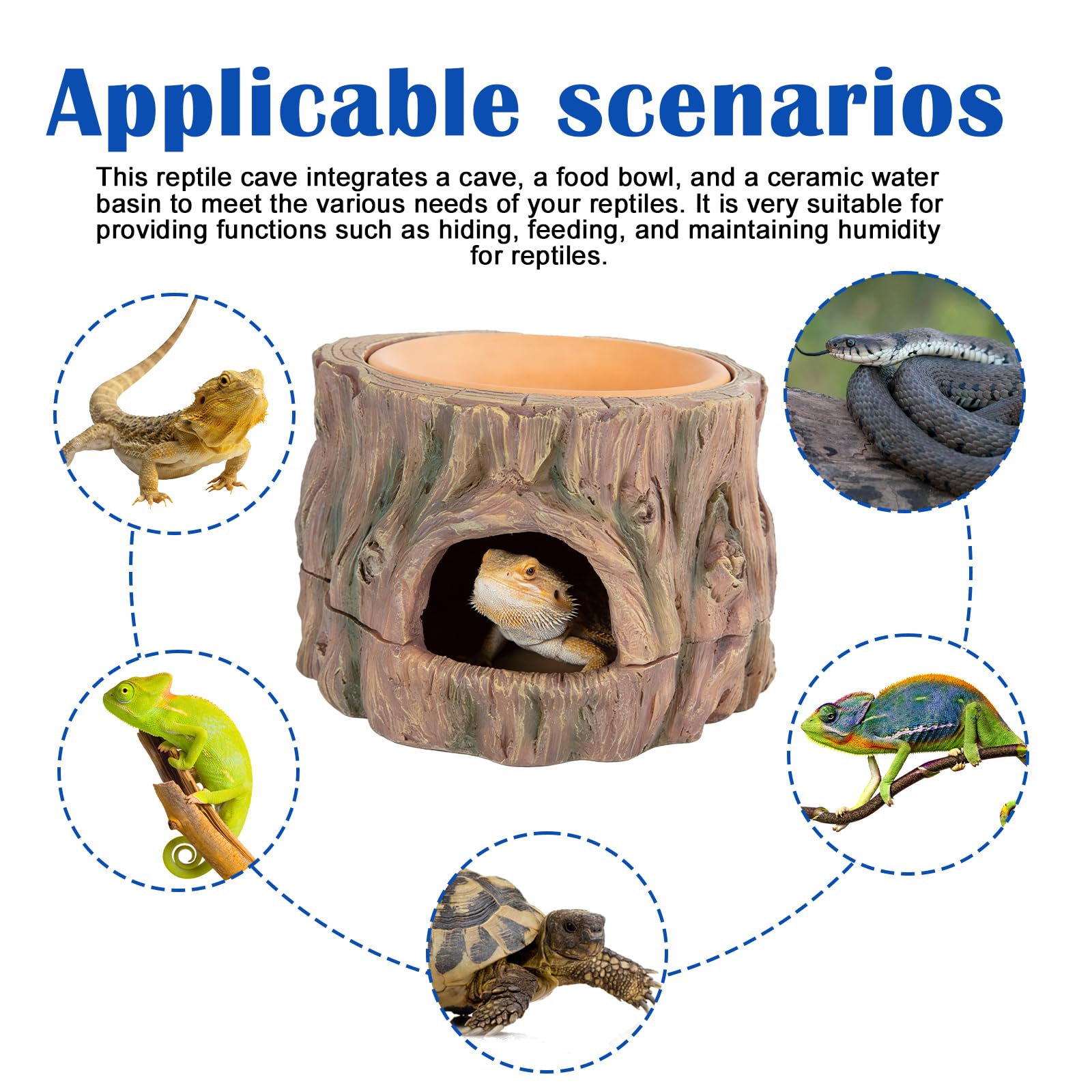 Reptiles 3 en 1 Cueva Ocultar Reptiles Protección: Cueva de reptiles, accesorios de terrario, anfibios escondite con hidratante, para gecko, lagartos, dragón barba, 16,2 × 15,2 × 1,5 cm