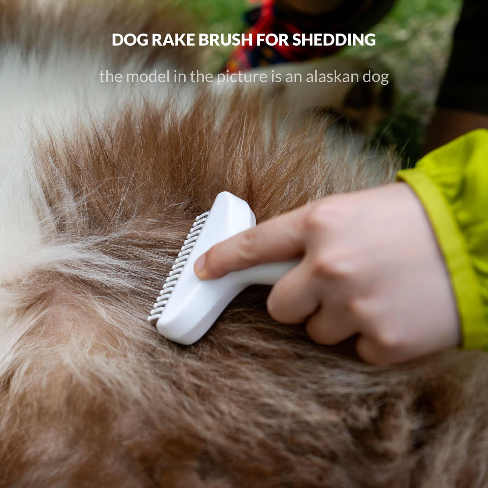 Taomypets Self Cleaning Grooming Rake Brush for Shedding Gently Removes Loose Undercoat Mats Tangled Deshedding Grooming Tool for Dogs Cats Extra Wide (White) - Image 4