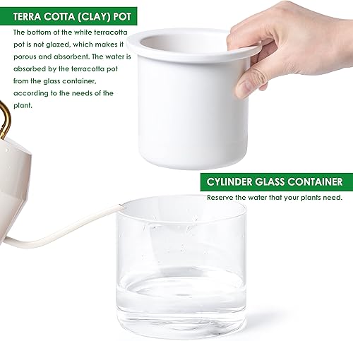 Miniatura 6 de Phoenix Vine Maceta de terracota de 4 pulgadas, maceta de terracota de diseño para plantas, maceta cilíndrica de terracota de interior con juego de