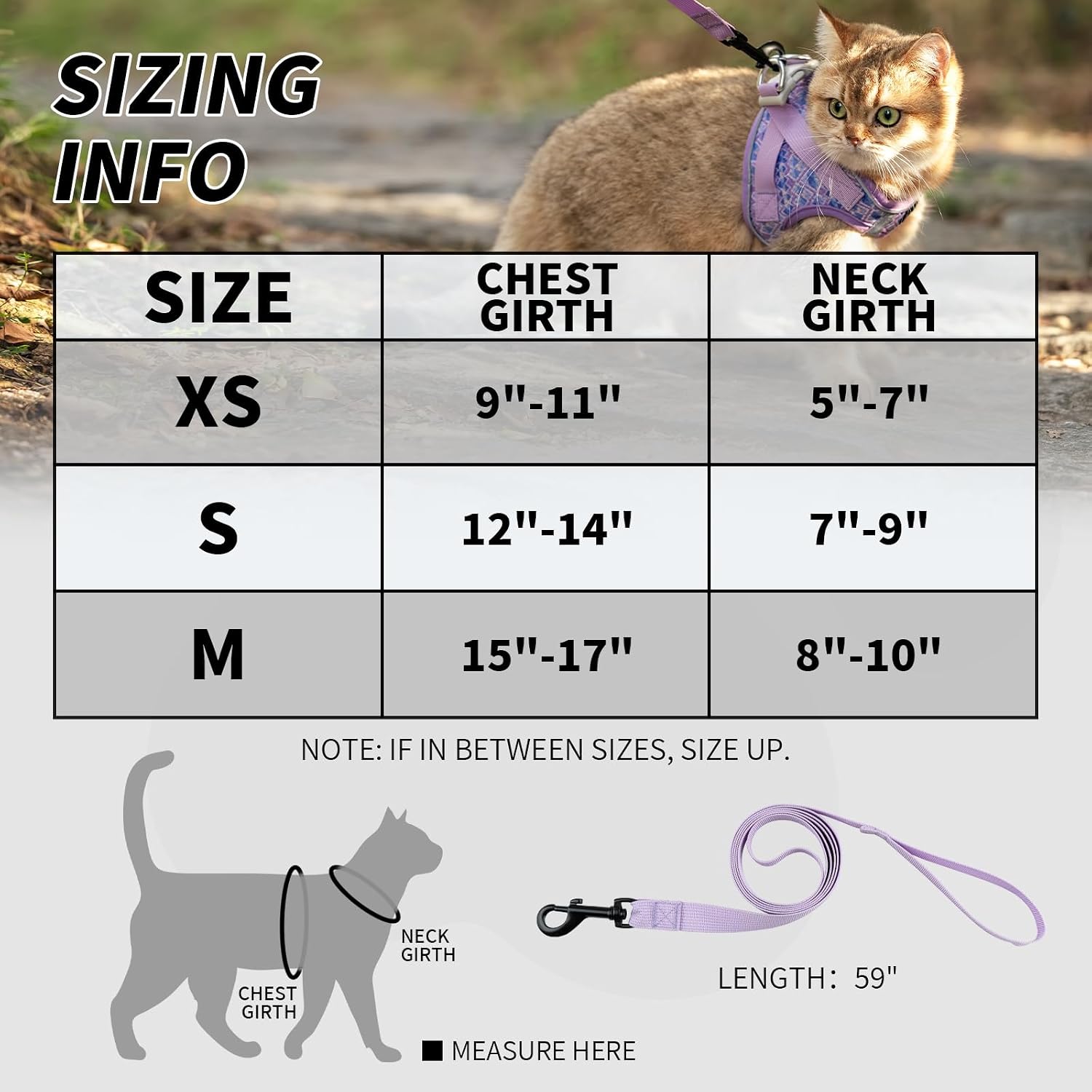 Arblina Soft Mesh Kitten Harness and Leash Set for Walking, Lightweight Step in Cat Vest Harness,Reflective Ajustable Puppy Vest for Traveling