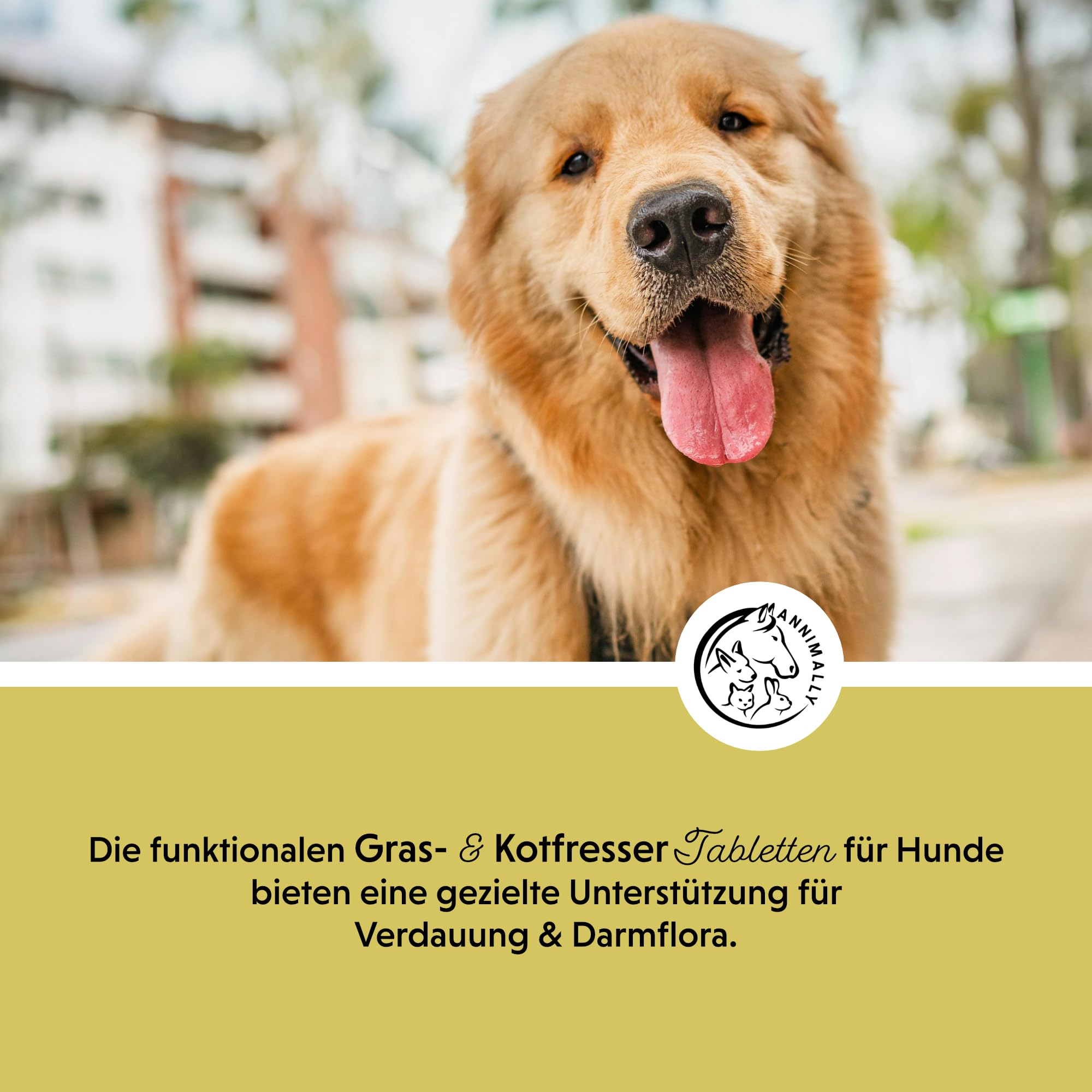 Annimally Gras- & Kotfresser Tabletten für Hunde - Unterstützen Verdauung & Magen-Darm-Flora, mit Probiotika, Ballaststoffen & Pflanzenstoffen, 120 Stück