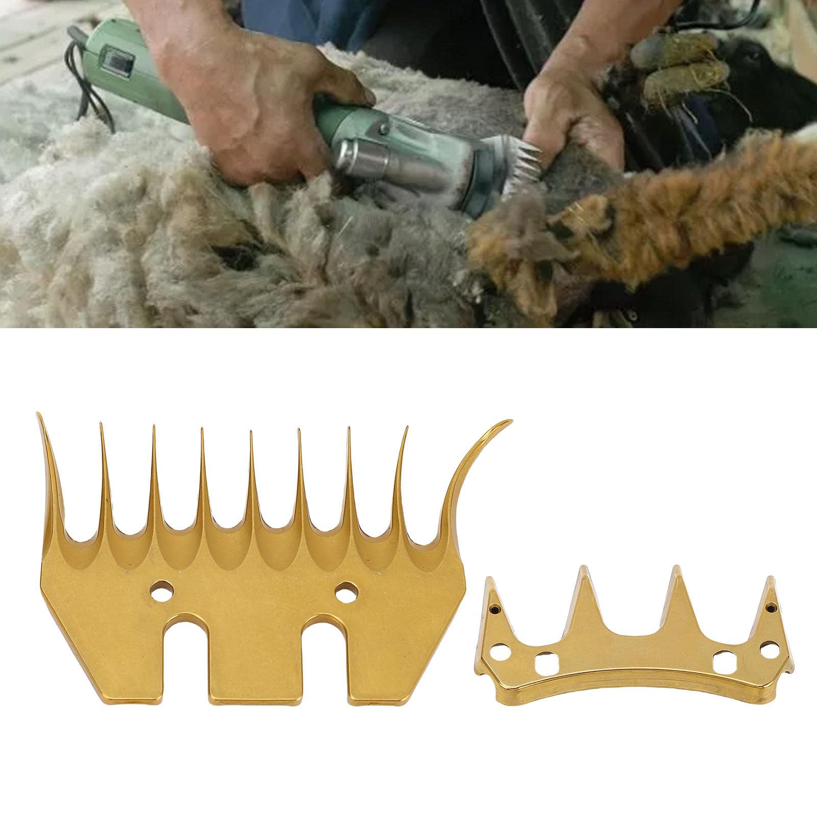 SIXRUN Lames de Rechange pour Tondeuse à Mouton à 9 Dents, Couleur or Longue Durée, avec Revêtement avancé pour les Professionnels