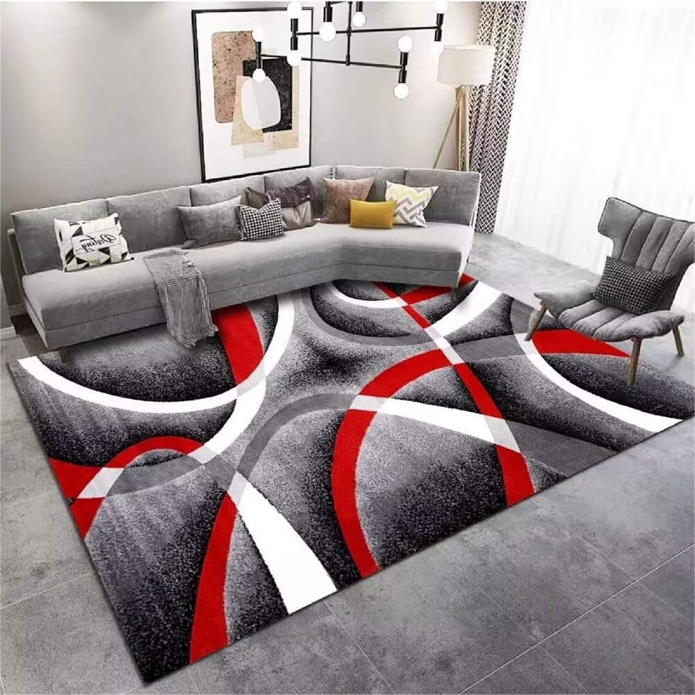 Tapis d entrée interieur 100x160cm rouge gris grand coussin sol
