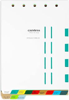 Carstens Heavy Duty Plastic Assisted Living Divider Set, 12 Tabs, with Pull Tab Die Cuts, 2691-00, for Top-Opening 2-5 Ring Binders