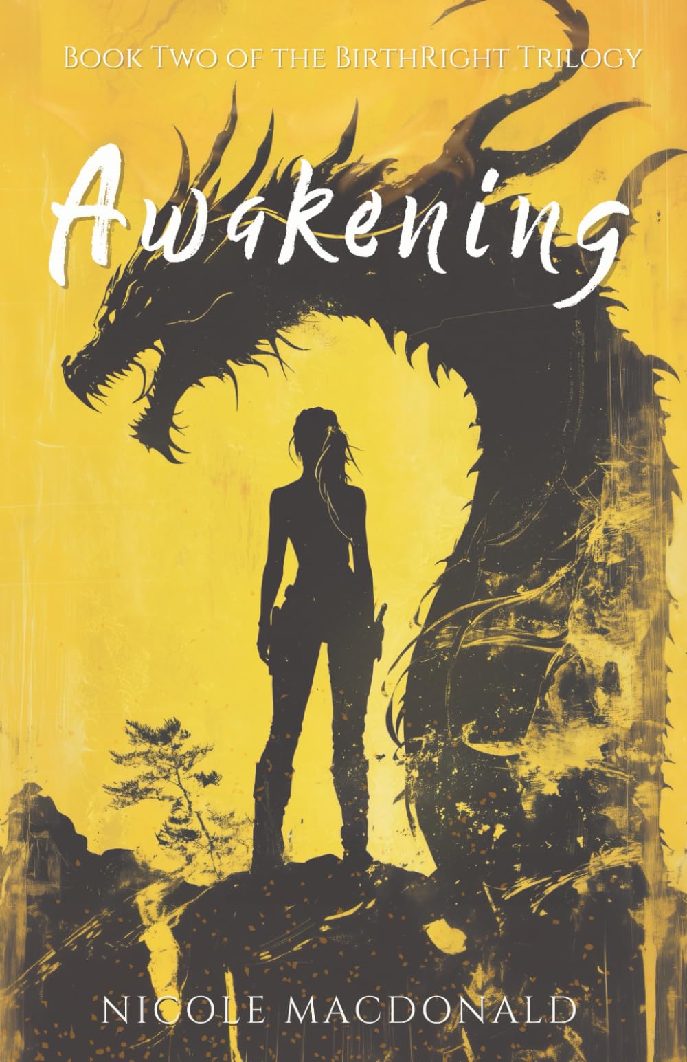 Awakening: Book Two of The BirthRight Trilogy: 2