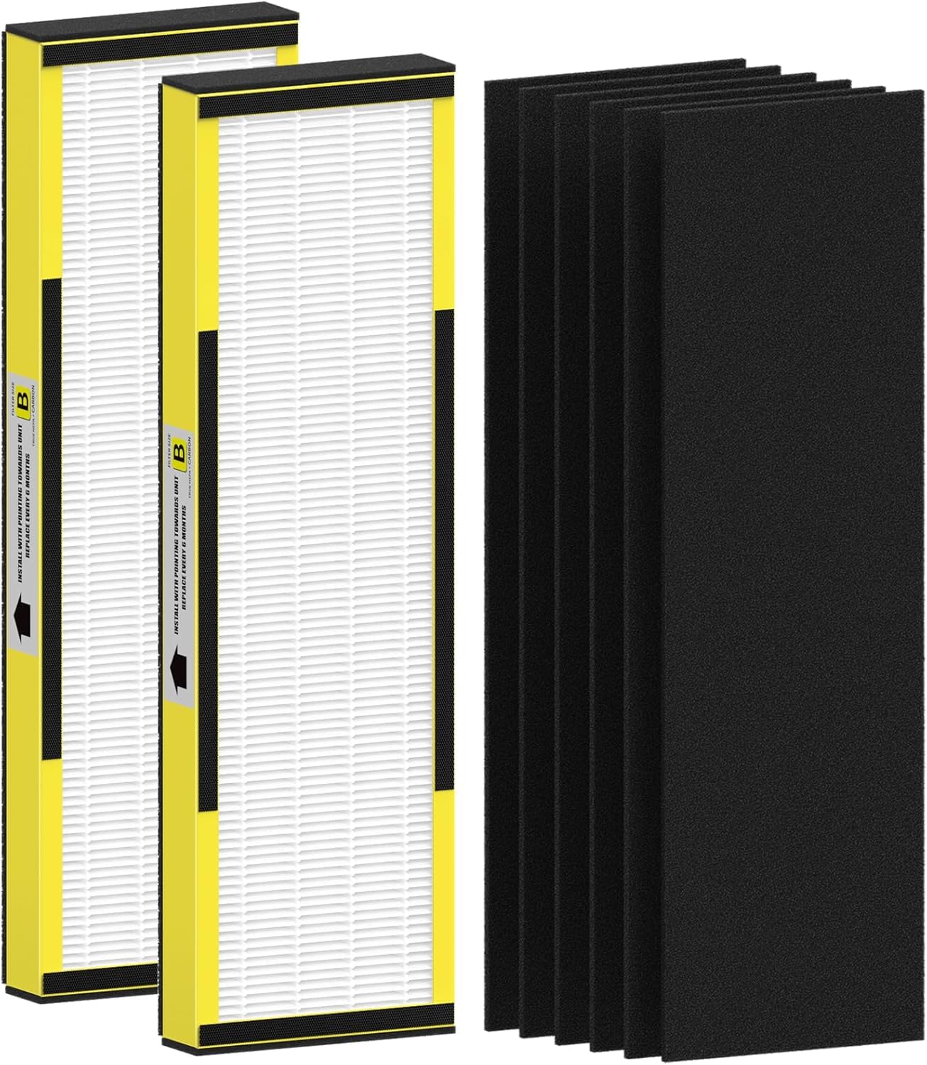 Air Purifier 2 Pack FLT4825 HEPA Replacement Filter B Compatible with AC4825 AC4825E AC4300 AC4800 AC4900 AC4850 2
