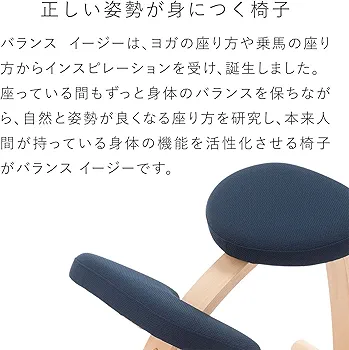 極美品　別売カバー付　バランスイージー　balance easy 紺　ネイビー 極美品 別売カバー付 バランスイージー balance easy 紺