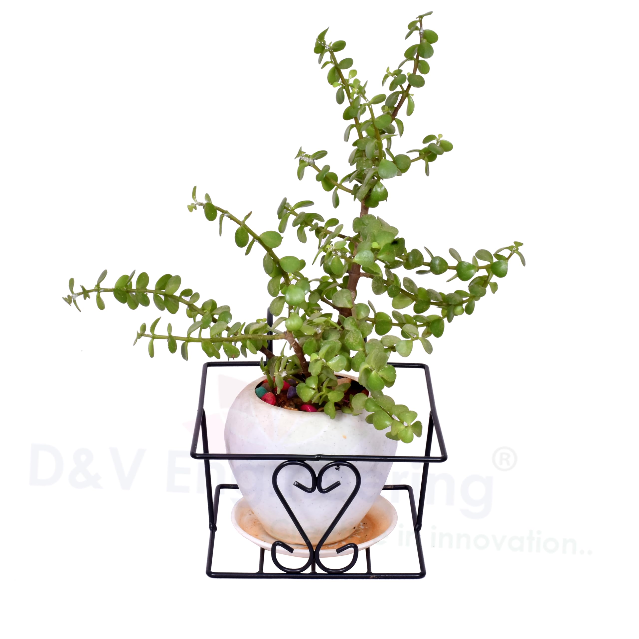 Hanging Flower Pot Railing Holder - Black Set of 2 -8