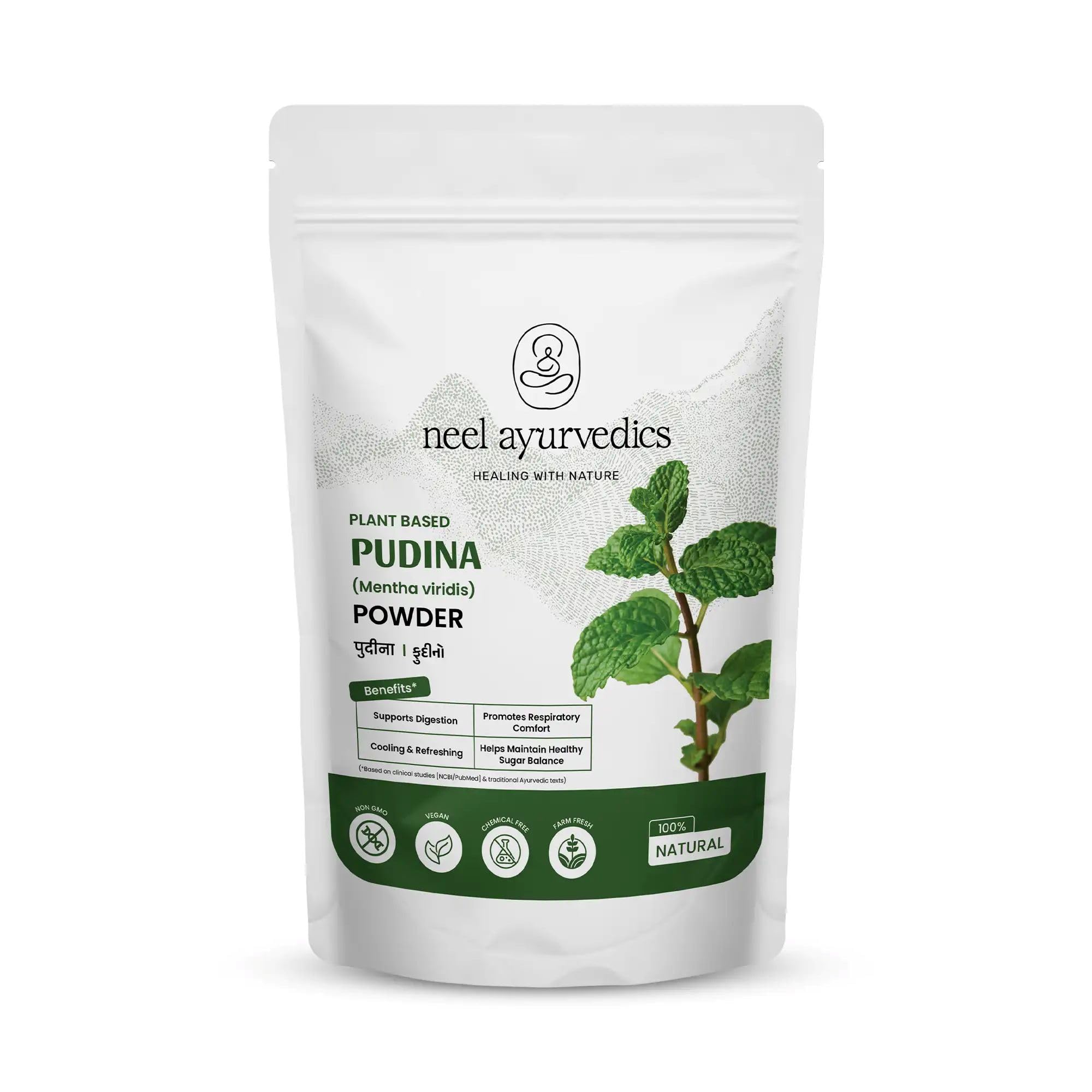 Polvere di Pudina - 300 GM