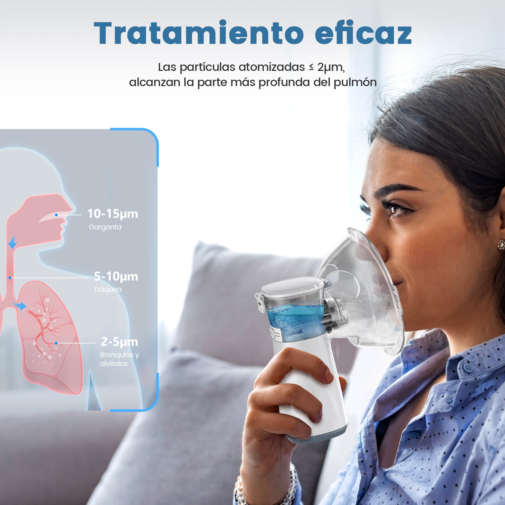 Slide De Alveolos Evaluaciones Morfohistométricas De La Glándula