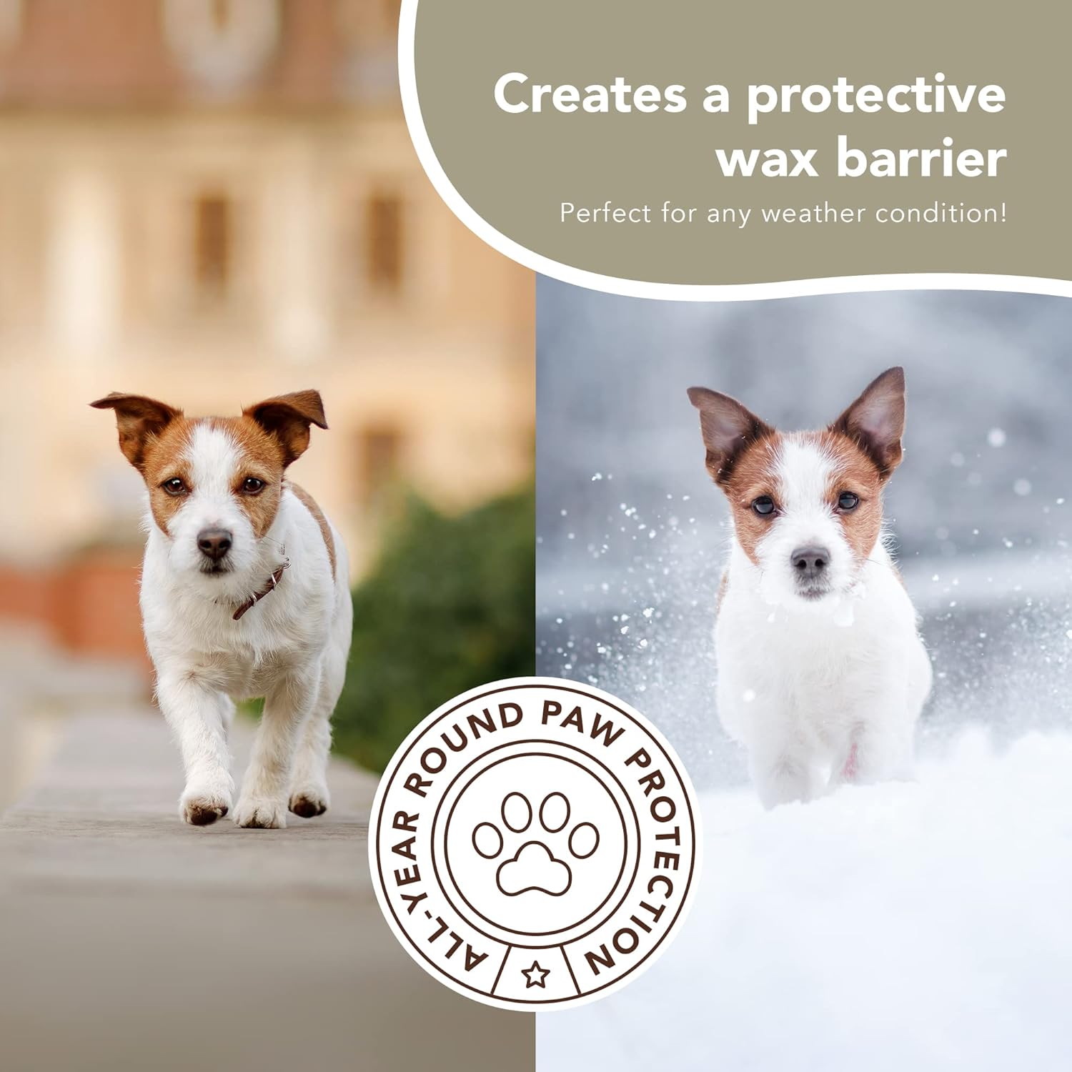 Buy Natural Dog Company PAWDICURE Bundle, Paw Soother + PawTection Dog