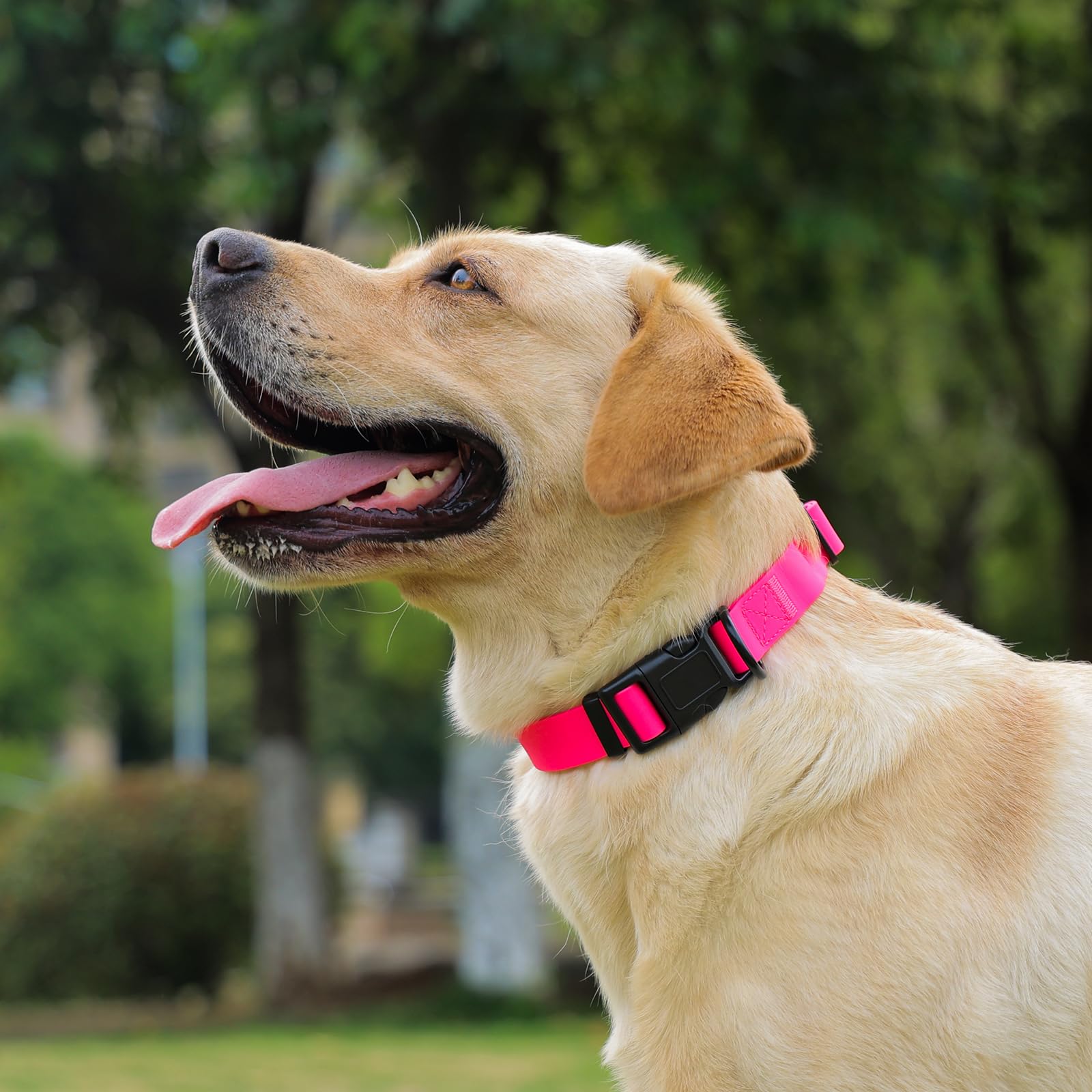Collar impermeable para perro, collares de goma fáciles de limpiar con hebilla de liberación rápida para perros pequeños, medianos o grandes (rosa, L < 15.4-24.8 pulgadas)
