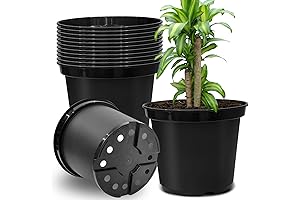 10 Inch Black 3 Gallon Plastic Plant Pots