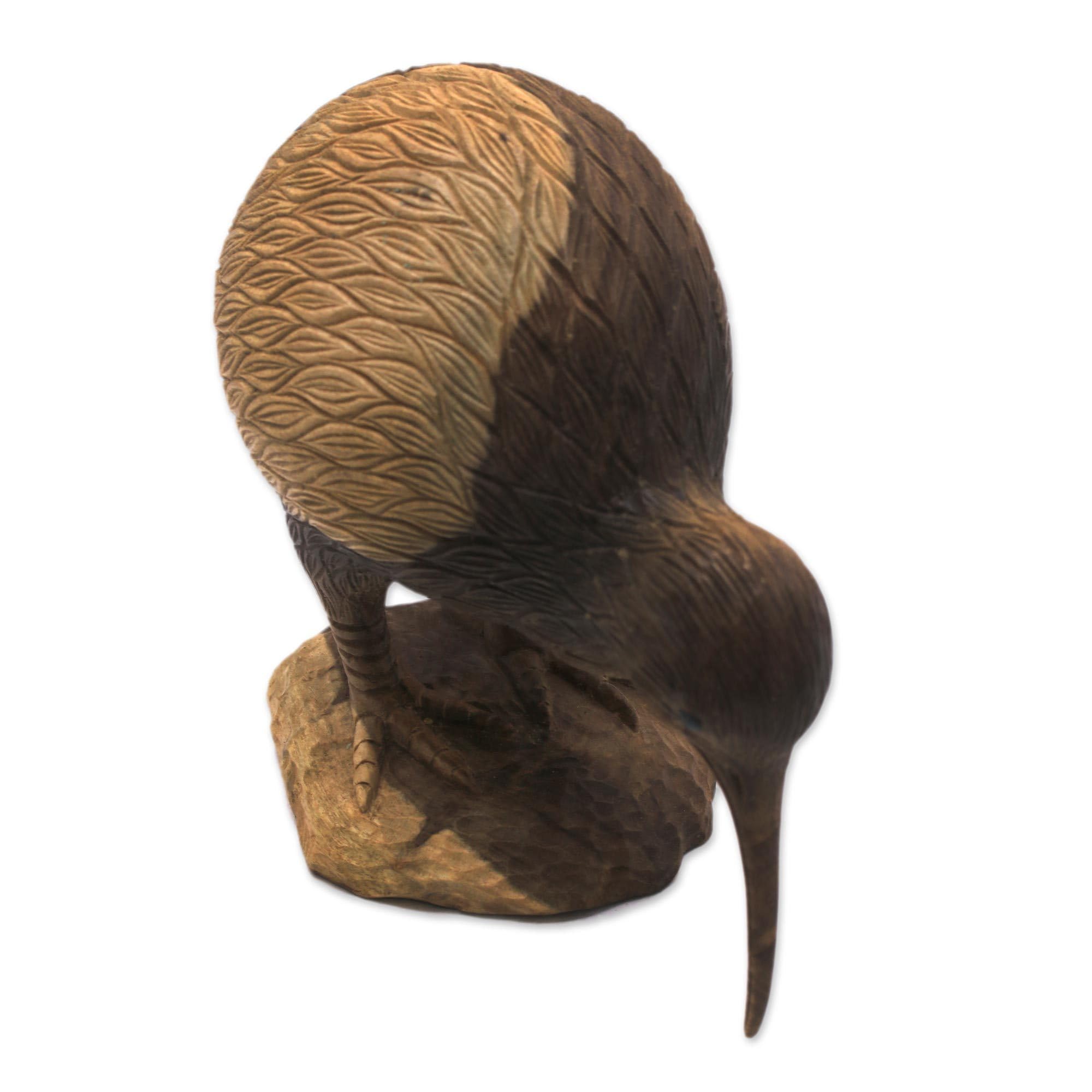 Amazon.com: NOVICA Wood Sculpture Handcarved Hibiscus Kiwi Bird