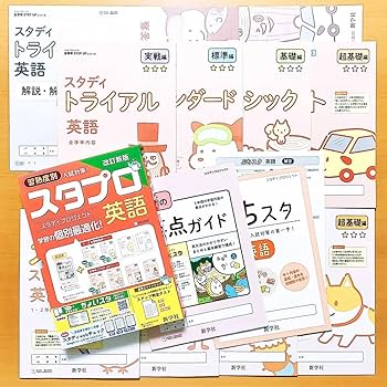 Amazon | 2024年版「スタディプロジェクト スタプロ 5教科 国語