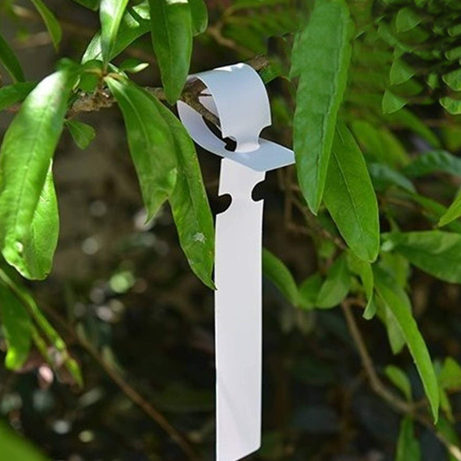 Acrux7 1000 szt. 20 cm zawieszki do roślin, wodoodporne wiszące etykiety ogrodnicze, 2 x 21 cm białe plastikowe etykiety do drzew roślinnych do przedszkola ogrodu etykiety do roślin