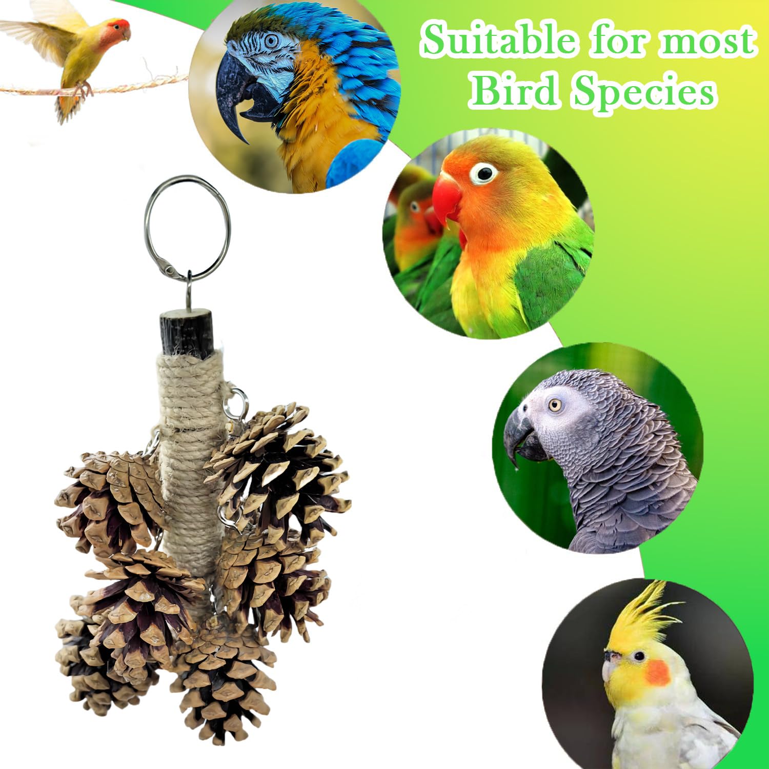 WACURRENTHYD Bird Toys with 8 Pine Cones - Natural Wooden Parrot Toys, 8 Inch Hangable Chewing Sticks Toys for Conures Parakeets Cockatoo African Grey Amazon Parrots — view 5
