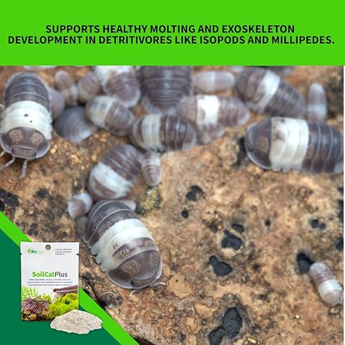 Miniatura 4 de The Bio Dude Soil Cal Plus - Aditivo de calcio de sustrato bioactivo. Ideal para isópodos, milpiés y plantas