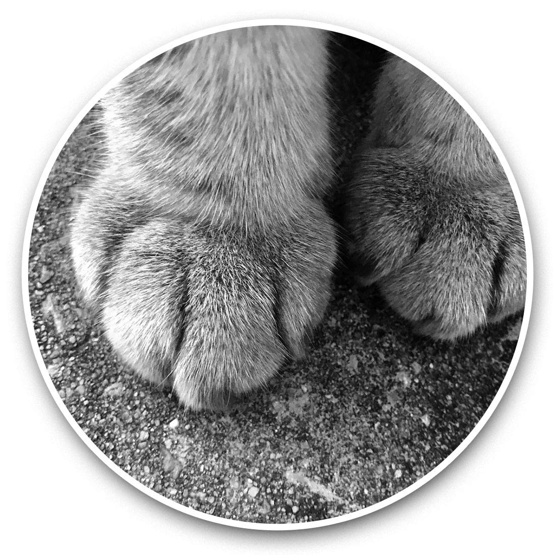 Destination Vinyl Ltd Bw Grey Cat Kitten Paws Blue Tabby 35448 Vinyl Stickers (Set Of 2) 7.5Cm (Bw) - Grey Cat Kitten Paws Blue Tabby 35448