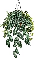 Oairse Large Fake Hanging Alocasia Longiloba Plant with Basket & Chain - Realistic Artificial Greenery for Indoor Outdoor Decor