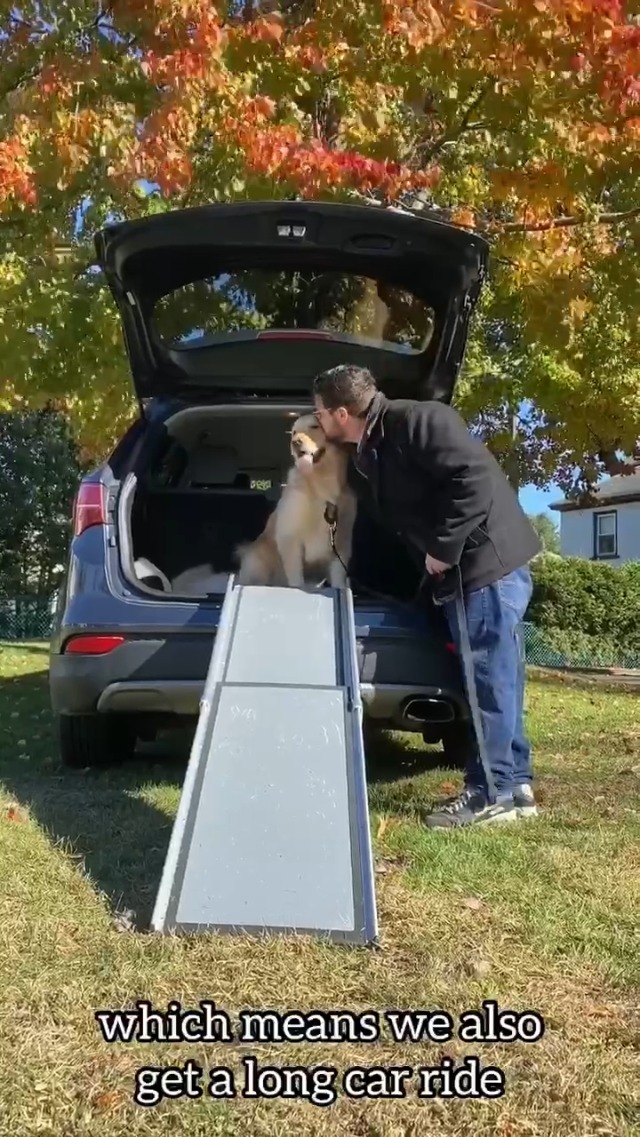 Amazon.com : Solvit 62337 Deluxe Telescoping Pet Ramp, Standard