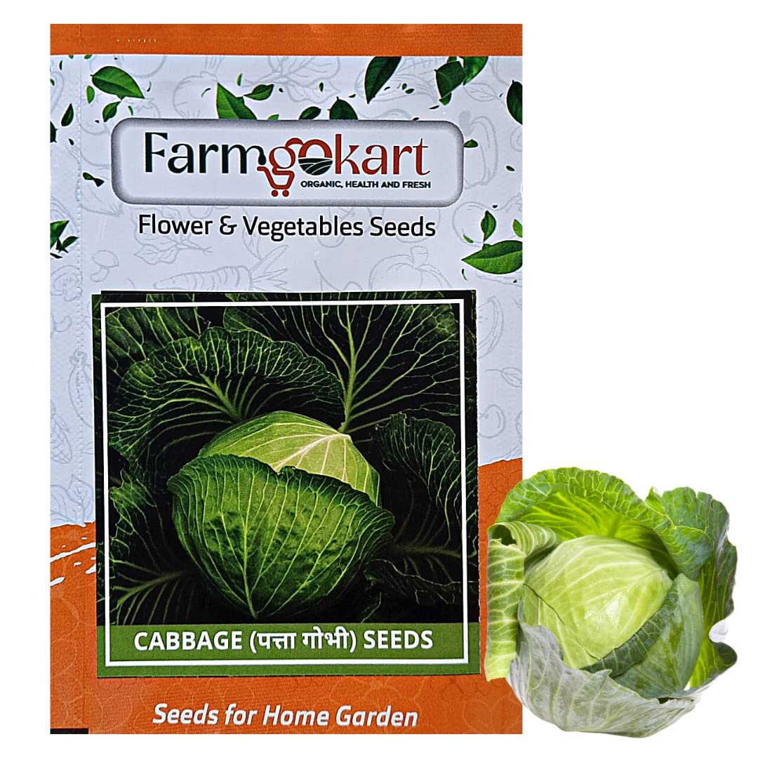 Farmgokart | CABBAGE SEEDS (Appx 200 Seeds Per Packet) |Best Suitable For Home Gardening | (B09Q5T7FVN) Amazon Price History, Amazon Price Tracker