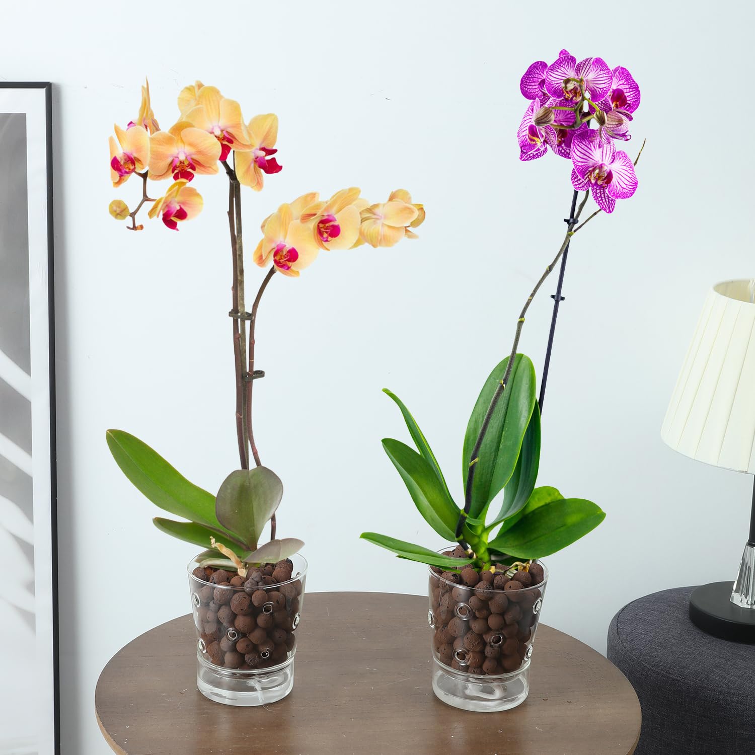 PERFECTOP 2 macetas de orquídeas de cristal de riego automático de 4 pulgadas con agujeros, maceta transparente para plantas de interior con depósito de platillo y agujeros de drenaje, maceta de fácil